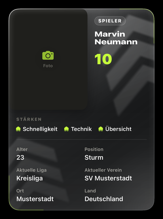 Pitchkarte eines Spielers, aus der App exportiert